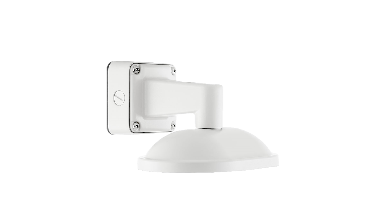 Wall Mount with Cap