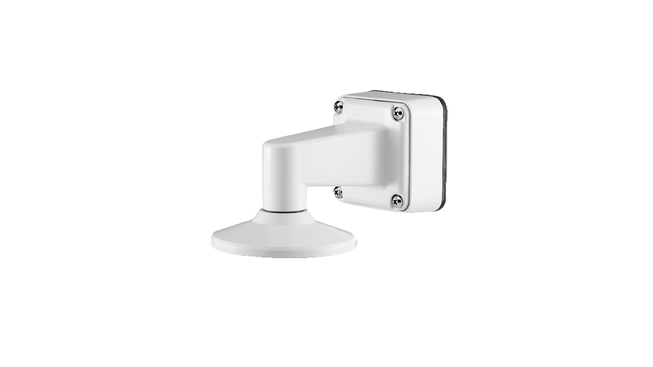 Wall Mount with Cap