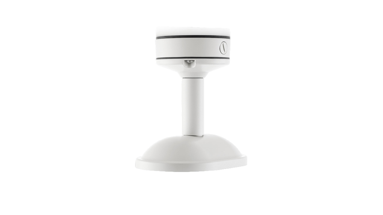Pendant Mount with Cap